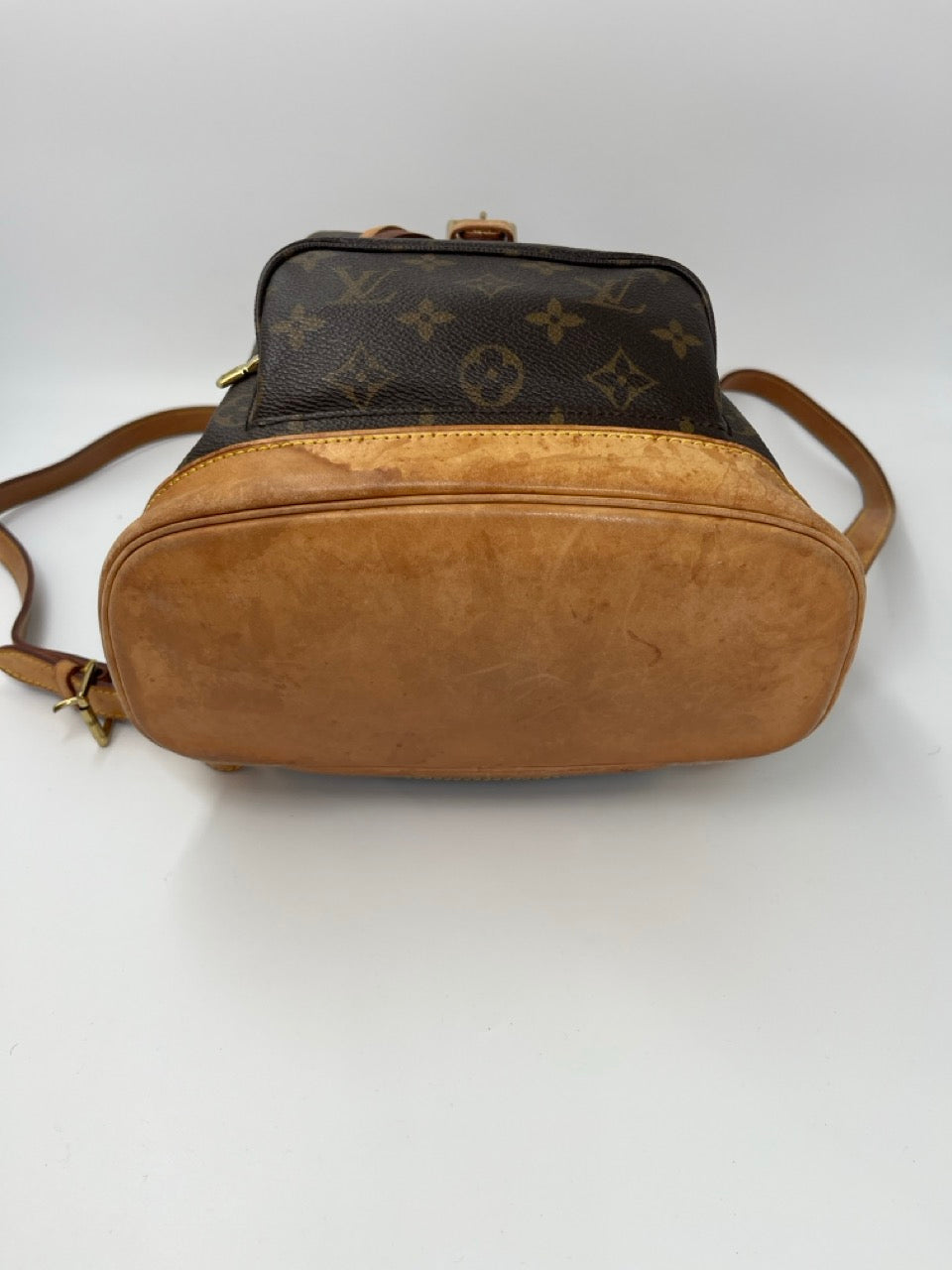 Louis Vuitton Montsouris MM