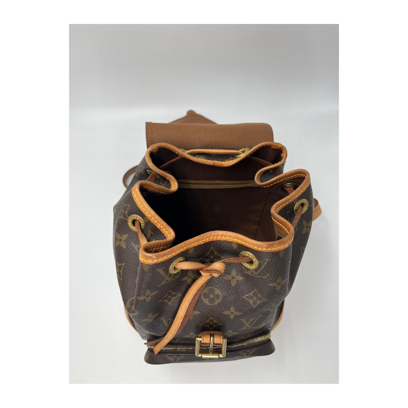 Louis Vuitton Montsouris MM